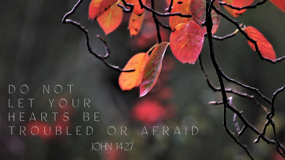 John 14:27