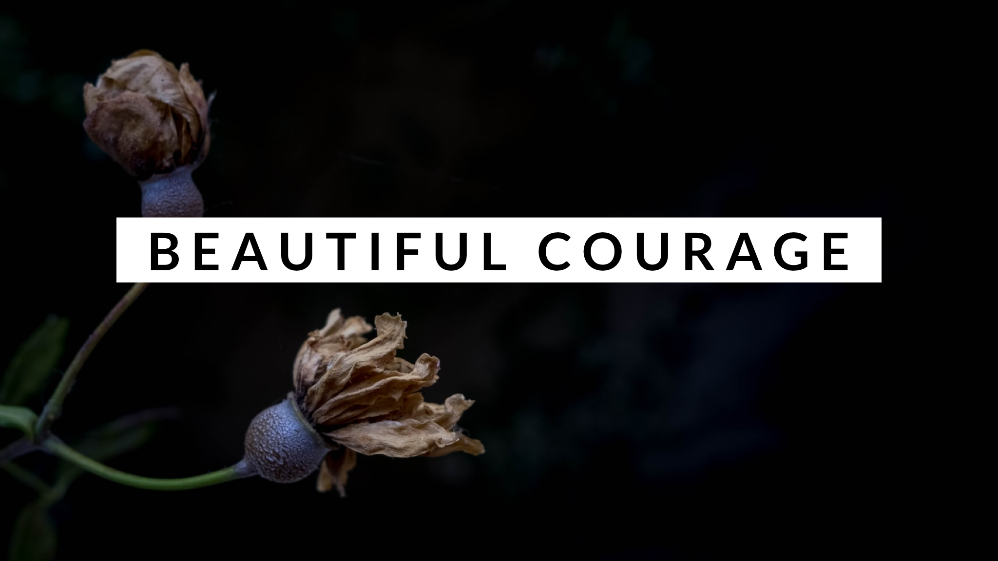 Beautiful Courage