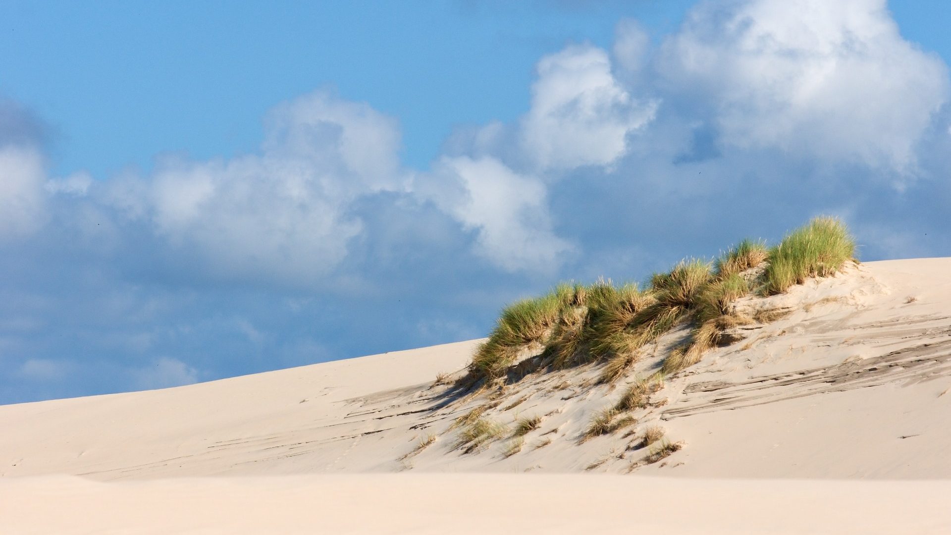 Wilderness Dunes