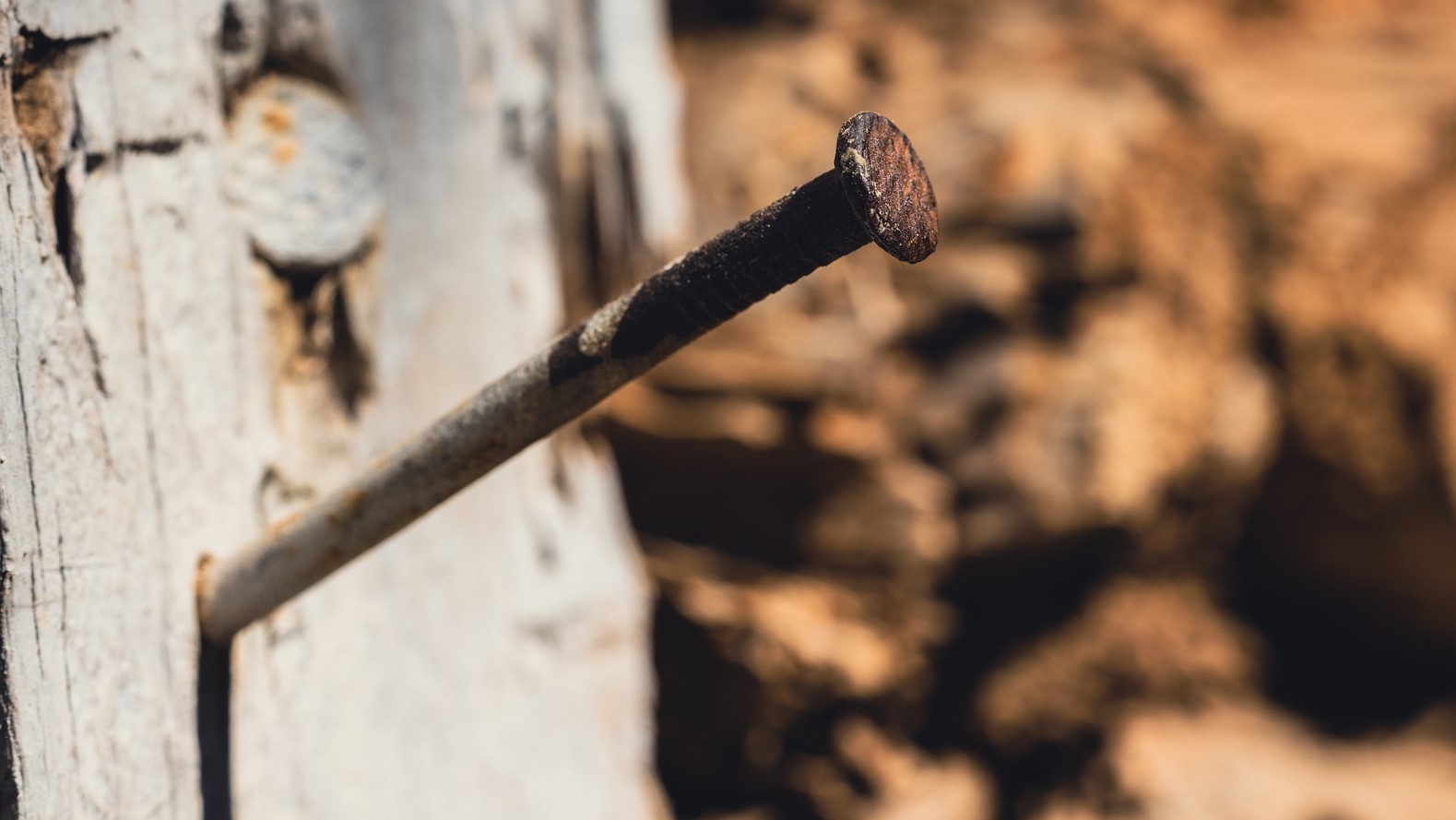 Nail in Wood